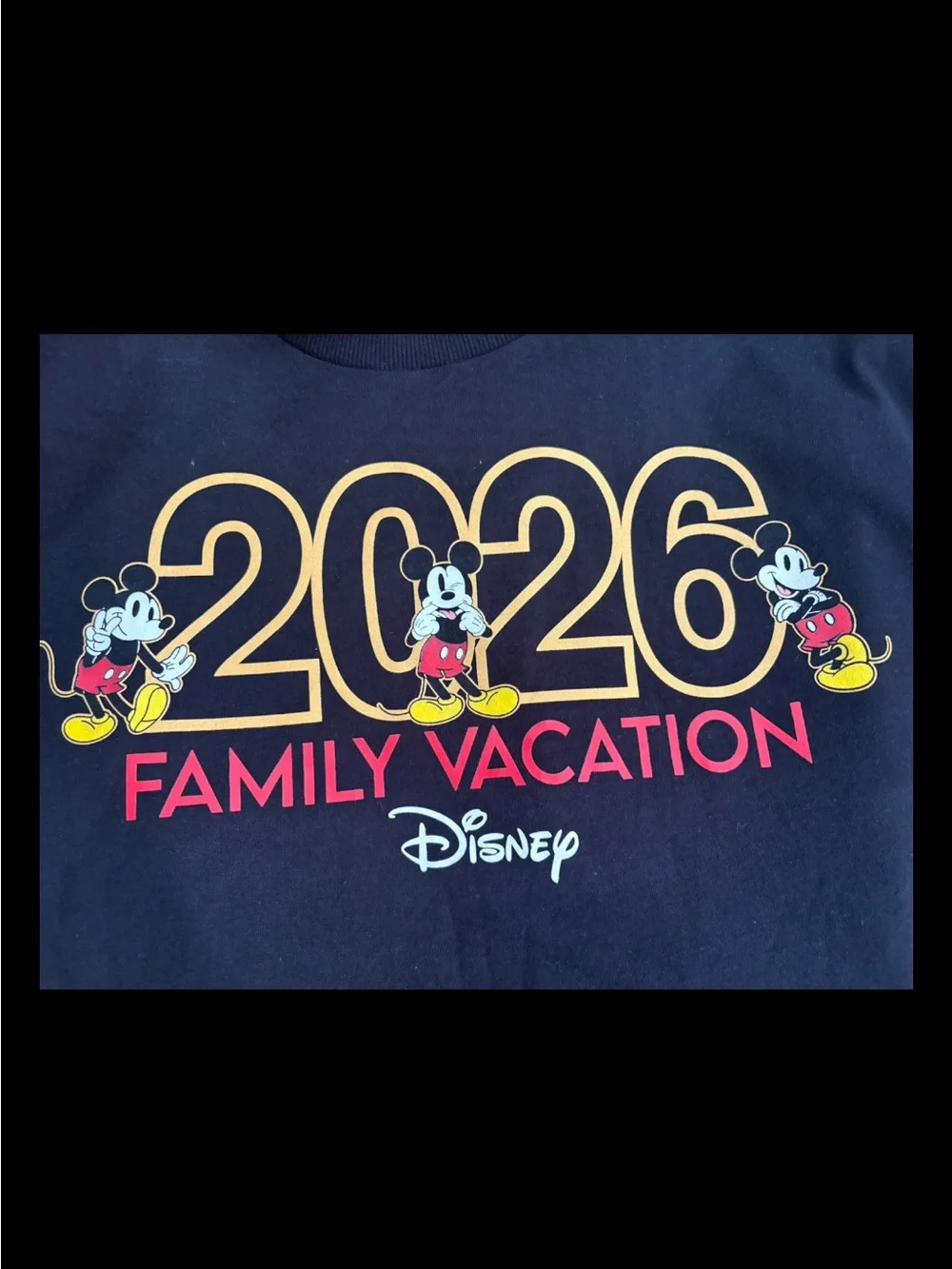 Disney Family Vacation 2026 Mickey Mouse Black T-Shirt Unisex New Short Sleeve,